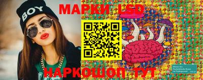 мдпв Дубна