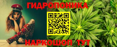 индика Бийск