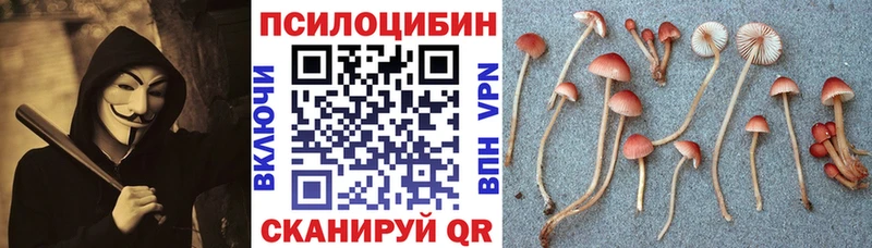 Псилоцибиновые грибы Magic Shrooms закладки Коряжма