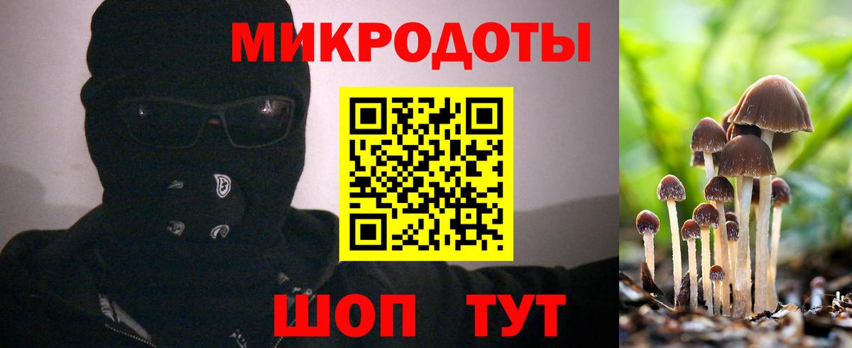 Галлюциногенные грибы мухоморы Коряжма