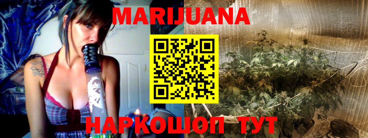 Каннабис планчик Коряжма