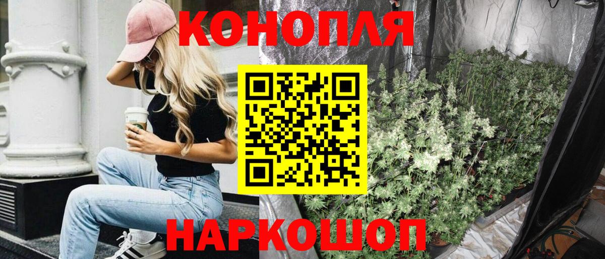 Канабис семена  Шишки марихуана VHQ  Коряжма  МАРИХУАНА Bruce Banner  Бошки Шишки индика 